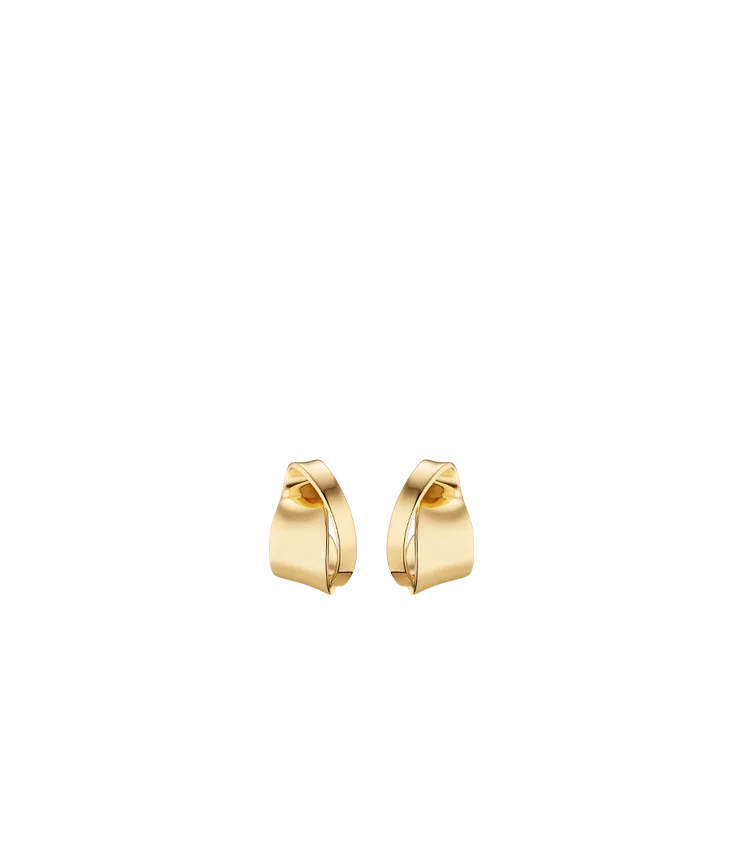 Boucles d’oreilles Éole « Curled » Édition dorée