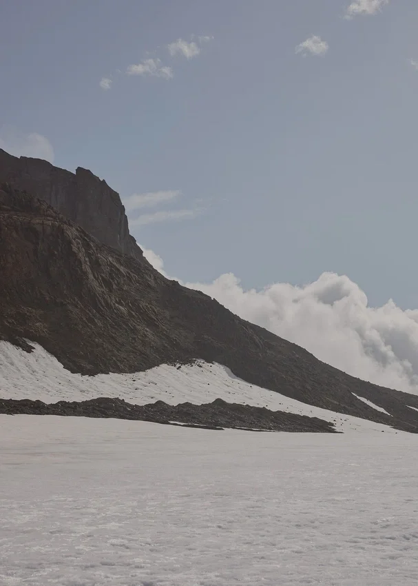 Numéro Un Nano Edition texturé beige